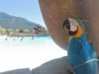 /album/fotogaleria-turecko-oludeniz-my-a-vy/turecko-oludeniz-dovolenka-38-jpg/